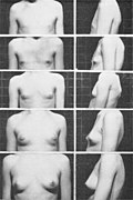 Five Tanner stages - Breast growth.