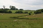 Thumbnail for File:Field and stream opposite Bridge House, South Willingham - geograph.org.uk - 4544691.jpg