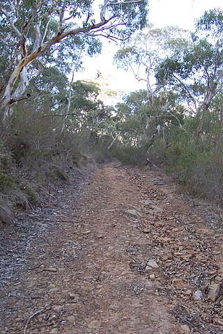 <span class="mw-page-title-main">Finniss Conservation Park</span> Protected area in South Australia