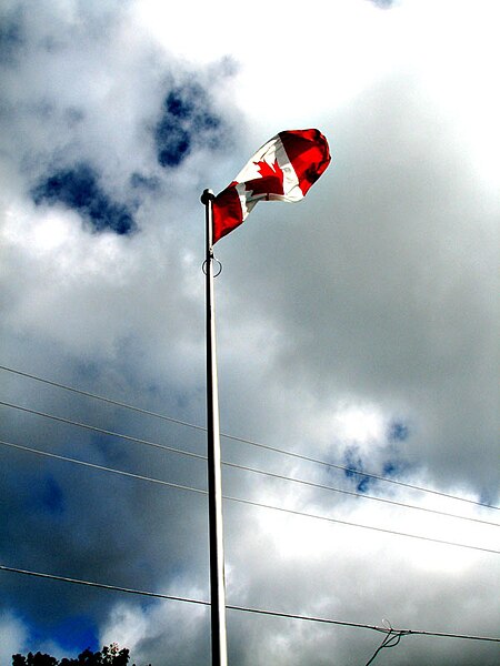 File:Flag of Canada by Djuradj Vujcic.jpg