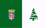 Flag of Grazalema.svg
