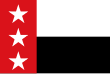 Vlag van Laredo