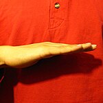 The "FlatB" handshape produced with the the pinky-finger edge of the palm facing the camera