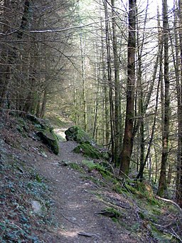 Footpath to Aberllyn mine and Llyn Parc - geograph.org.uk - 1373540