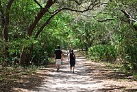 Family walking on one of GTM Research Reserve's trails