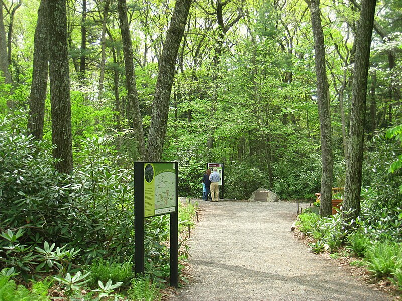 File:Garden in the Woods - IMG 2451.JPG