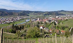 Ansicht der Stadt Gengenbach und der Kinzig aus den Weinreben westlich der Stadt