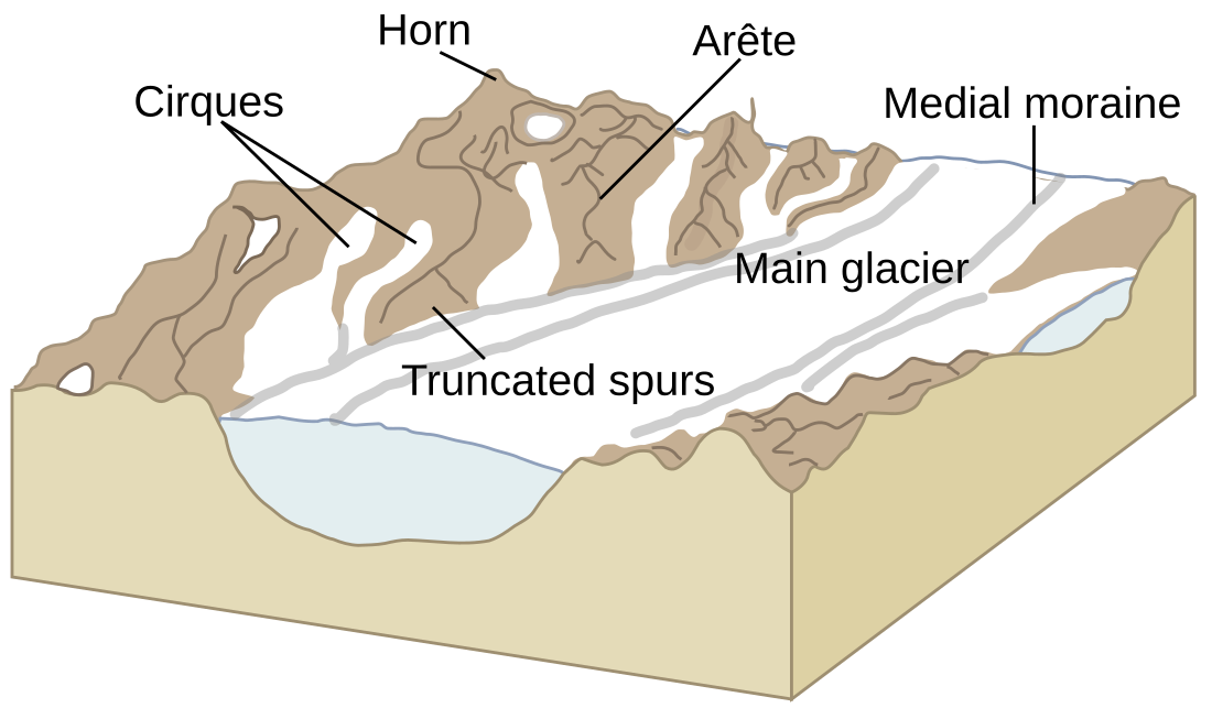 Geomorffoleg