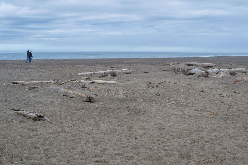 File:Gleneden Beach.jpg