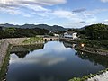 萩城の内堀（山口県萩市）(170728)