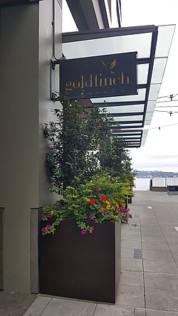 Goldfinch Tavern, Seattle (2022) - 1.jpg