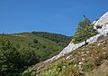 * Nomination Landscape on the Mairulegorreta trail to Gorbea summit; beeches. Álava, Basque Country, Spain --Basotxerri 17:50, 18 September 2016 (UTC) * Promotion Good quality. --Aeou 18:26, 18 September 2016 (UTC)