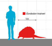 Size comparison Gordodon Scale.svg