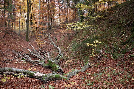 Grünwald Roman entrenchment walls ditch