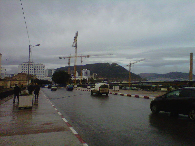 File:Grues prés du pont Zabana Oran Algérie.jpg