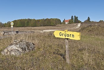 Gruorn