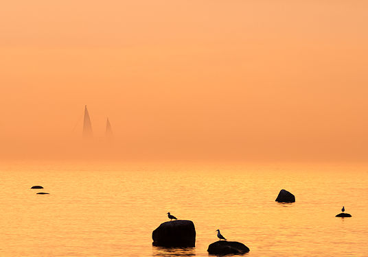 Yacht in fog at sunset.