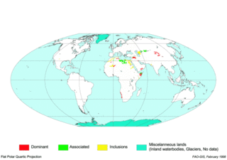 Gypsisol soil type