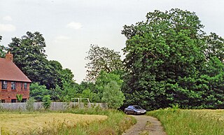 Hadham railway station Disused railway station in Much Hadham, Hertfordshire