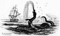 A "Grande Serpente Marinha" conforme Hans Egede.