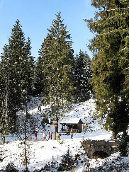 Bärenbrücke rest area