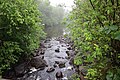 Rivière Mékinac du Sud