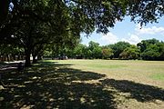 Fairfax Park