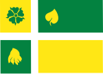 Hof van Twente vlag.svg