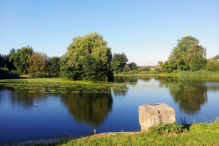 Hofeteich Wilschdorf