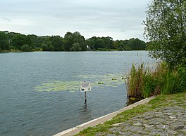 Hohnsensee, June 2011