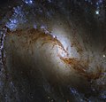 Hubble Sees Swirls of Forming Stars - Flickr - NASA Goddard Photo and Video.jpg