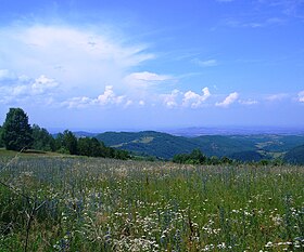 Przykładowe zdjęcie artykułu Crni vrh (Kragujevac)