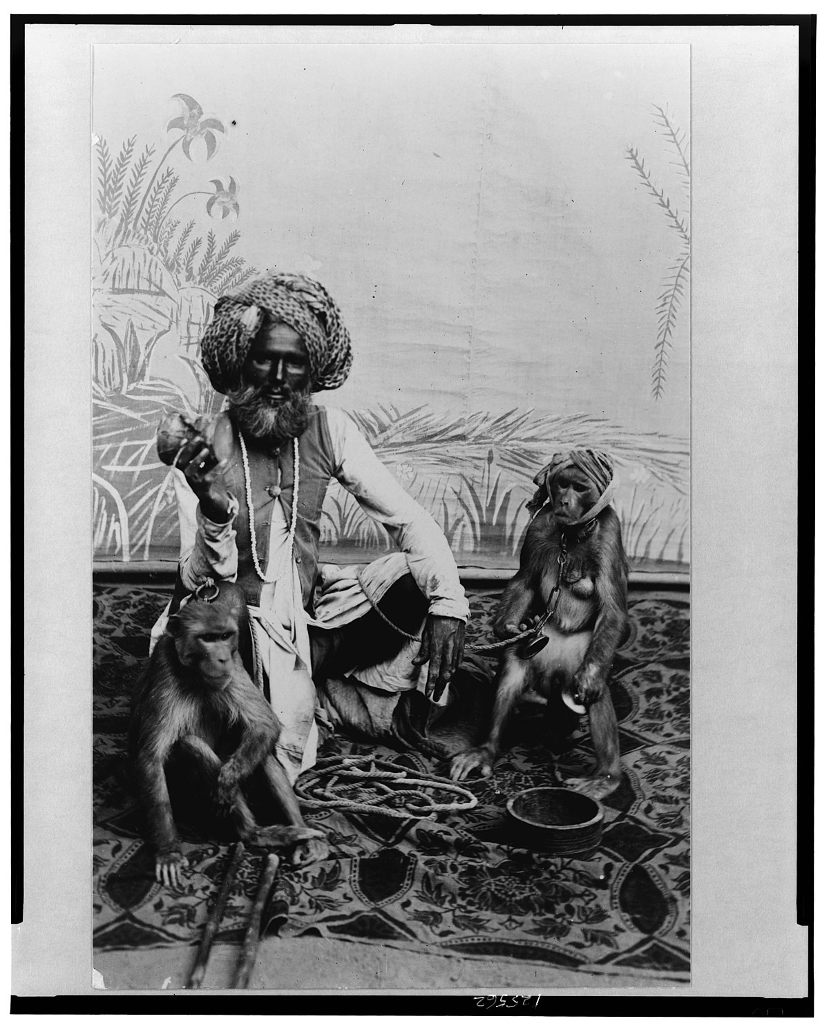 File:India-Fakir with monkeys LCCN00650693.jpg - Wikimedia Commons