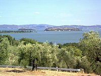 Maggiore, Minore and Perusia ferryboat, seen by a hill cultivated with olives