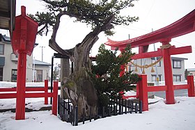 徳下八幡宮とイチイの古木