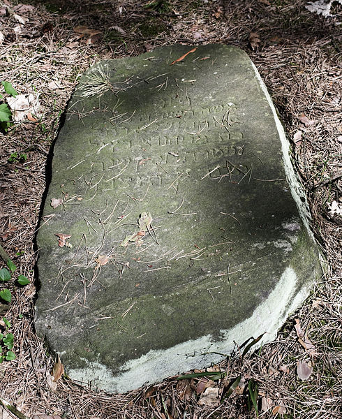 File:Jewish cemetery Garwolin IMGP3101.jpg