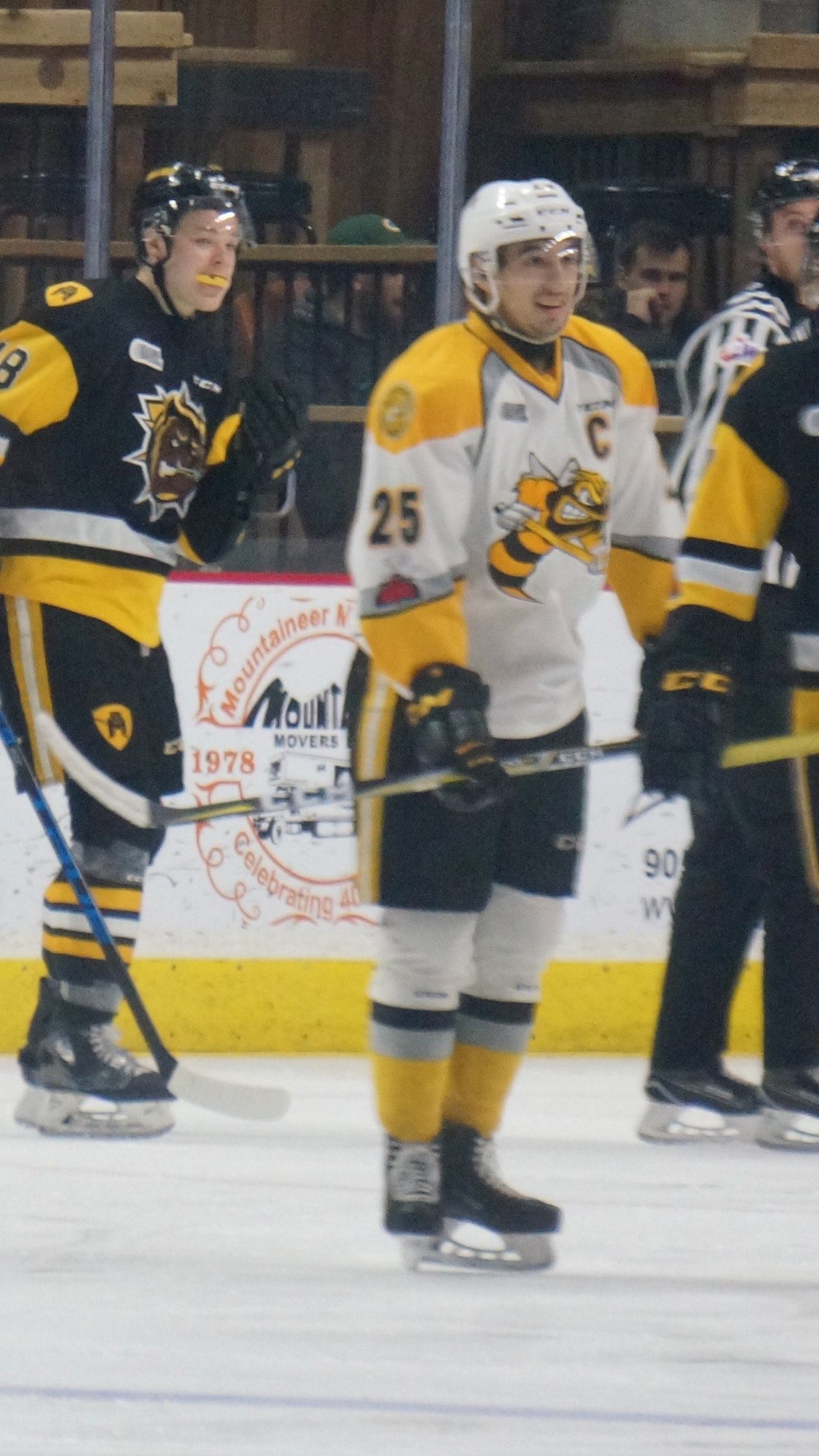 Sarnia Sting, Ice Hockey Wiki