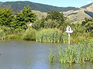 <span class="mw-page-title-main">Saxton, New Zealand</span> Suburb of Nelson, New Zealand