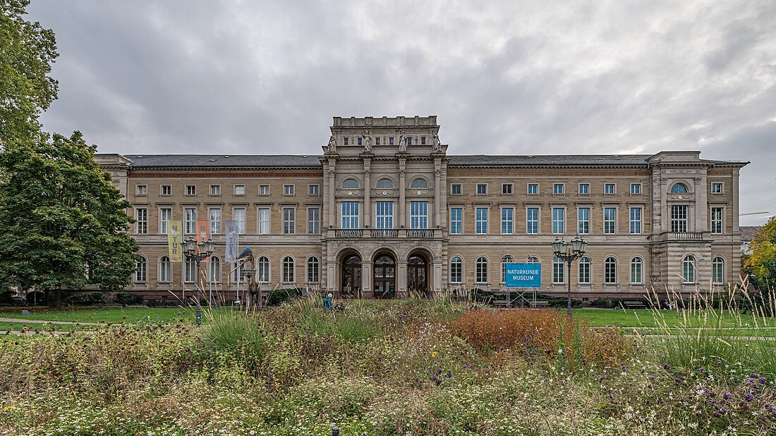 Staatliches Museum für Naturkunde Karlsruhe