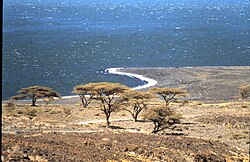 Kenya 1987 Lake Turkana.jpg