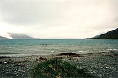 King Haakon Bay en Suda Kartvelia Island.jpg