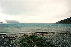 King Haakon Bay v prosinci 1996