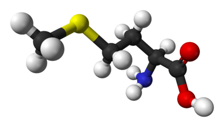 Methionin