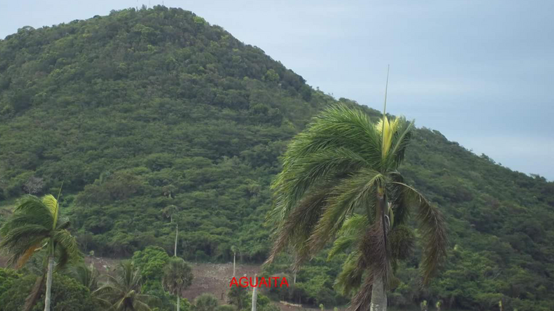 File:LOMA DE JUANA NUNEZ UBICADA EN LA LIMA DEL MUNICIPIO BAITOA.png