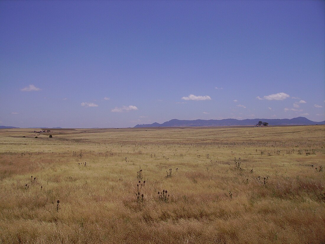 La Serena (Badajoz)