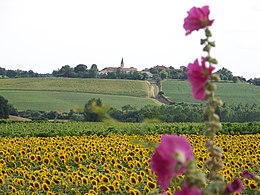 Lagraulet-du-Gers - View