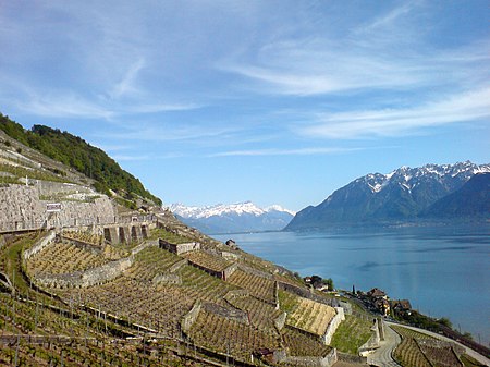 Lake Geneva from Lavaux