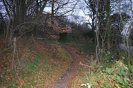 Landpark Wood 1