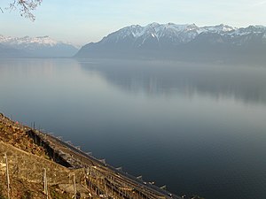 כרם בלאבו (Lavaux) שבקנטון ווֹ על רקע האגם והאלפים הצרפתיים