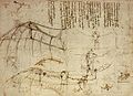 Image 39One of Leonardo's sketches (from History of aviation)
